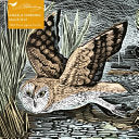 1000 pc Puzzle Angela Harding: Marsh Owl by Phoenix Books