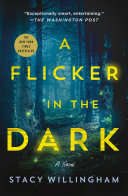 Flicker in the Dark A Novel by Phoenix Books