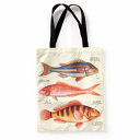 Judgy Fish Canvas Tote by Phoenix Books