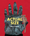 Actual Size by Phoenix Books