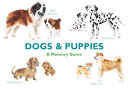 Dogs & Puppies: A Memory Game by Phoenix Books