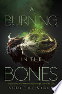 Burning in the Bones by Phoenix Books