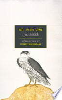 Peregrine