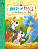 Hocus and Pocus and the Dragon Next Door by Phoenix Books