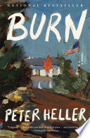 Burn: A Novel by Phoenix Books