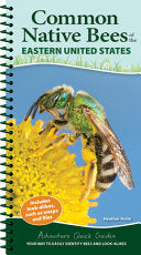 Common Native Bees of the Eastern United States Yo by Phoenix Books