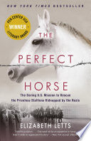 Perfect Horse
