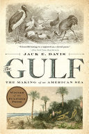 Gulf: The Making of an American Sea by Phoenix Books