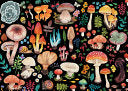 Jigsaw Puzzle Mushrooms 1000-Piece by Phoenix Books