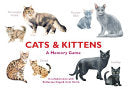 Cats & Kittens Memory Game by Phoenix Books