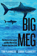 Big Meg: The Story of the Largest and Most Mysteri by Phoenix Books