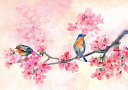 Note Cards Cherry Blossoms in Spring