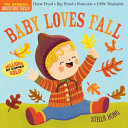 Indestructibles: Baby Loves Fall by Phoenix Books