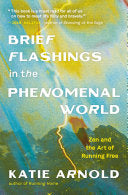 Brief Flashings in the Phenomenal World by Phoenix Books