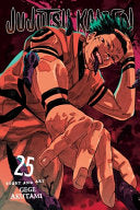 Jujutsu Kaisen, Vol. 25 by Phoenix Books