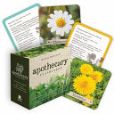 Apothecary Flashcards by Phoenix Books