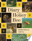Diary of a Honey Bee