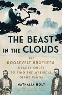 Beast in the Clouds: The Roosevelt Brothers' Deadl by Phoenix Books