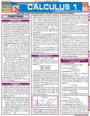 Barcharts Calculus 1: Functions, Limits and Deriva by Phoenix Books