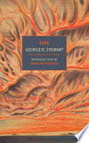 Fire by Phoenix Books