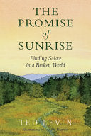 Promise of Sunrise: Finding Solace in a Broken Wor