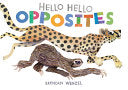 Hello Hello Opposites by Phoenix Books