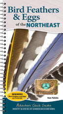 Bird Feathers & Eggs of the Northeast: Identify 40 by Phoenix Books