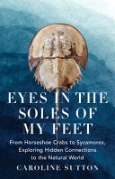 EYES IN THE SOLES OF MY FEET by Phoenix Books