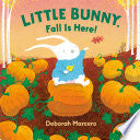 Little Bunny, Fall Is Here!