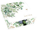 Desk Notes Eucalyptus by Phoenix Books