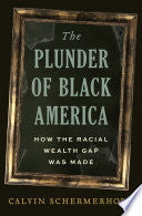 Plunder of Black America: How the Racial Wealth Ga