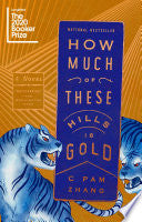 How Much of These Hills Is Gold by Phoenix Books