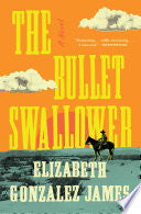 Bullet Swallower: A Novel by Phoenix Books