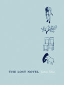 Lost Novel