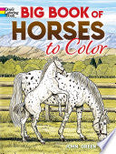 Big Book of Horses to Color by Phoenix Books