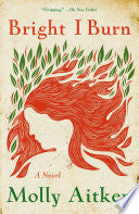 Bright I Burn: A Novel by Phoenix Books