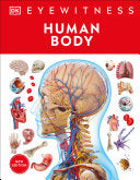 Eyewitness Human Body by Phoenix Books