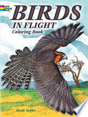 Birds in Flight Coloring Book by Phoenix Books