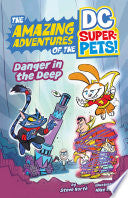 Danger in the Deep by Phoenix Books