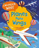 I Wonder Why Planes Have Wings: And other question by Phoenix Books