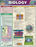 Barcharts Biology by Phoenix Books
