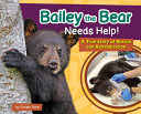 Bailey the Bear Needs Help!: A True Story of Rescu by Phoenix Books