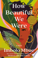 How Beautiful We Were A Novel by Phoenix Books