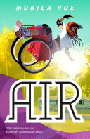 Air PAPERBACK by Phoenix Books