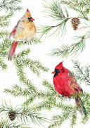 Cardinals in Evergreen Small Boxed Holiday Cards ( by Phoenix Books