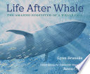 Life After Whale