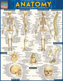 Barcharts Anatomy by Phoenix Books