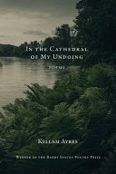 In the Cathedral of My Undoing by Phoenix Books