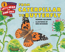 From Caterpillar to Butterfly by Phoenix Books