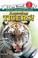 Amazing Tigers! by Phoenix Books